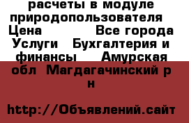 расчеты в модуле природопользователя › Цена ­ 3 000 - Все города Услуги » Бухгалтерия и финансы   . Амурская обл.,Магдагачинский р-н